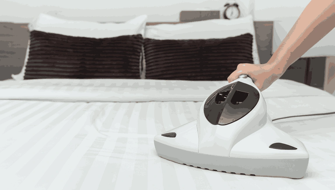 Professional Mattress Cleaning Boneo